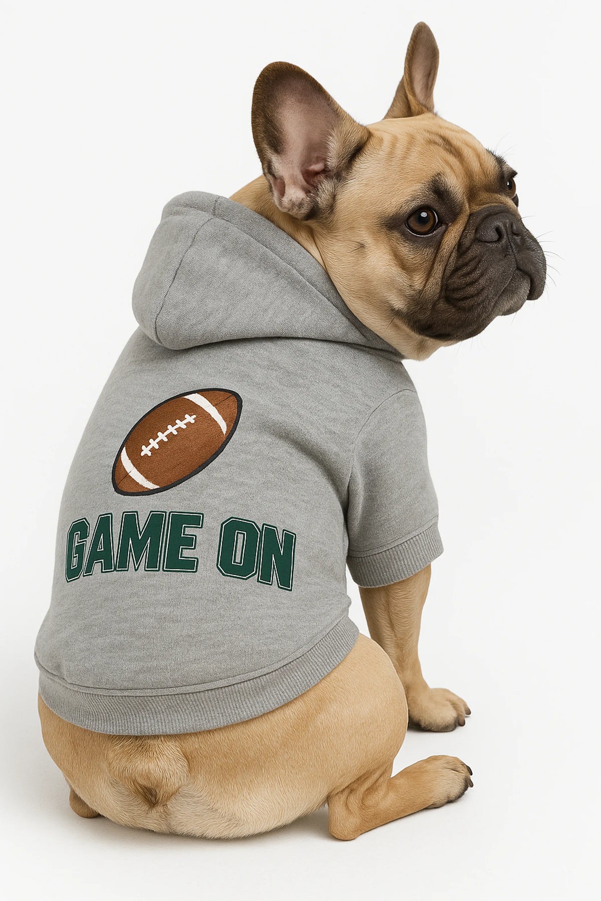 Game On Athletic Dog Hoodie