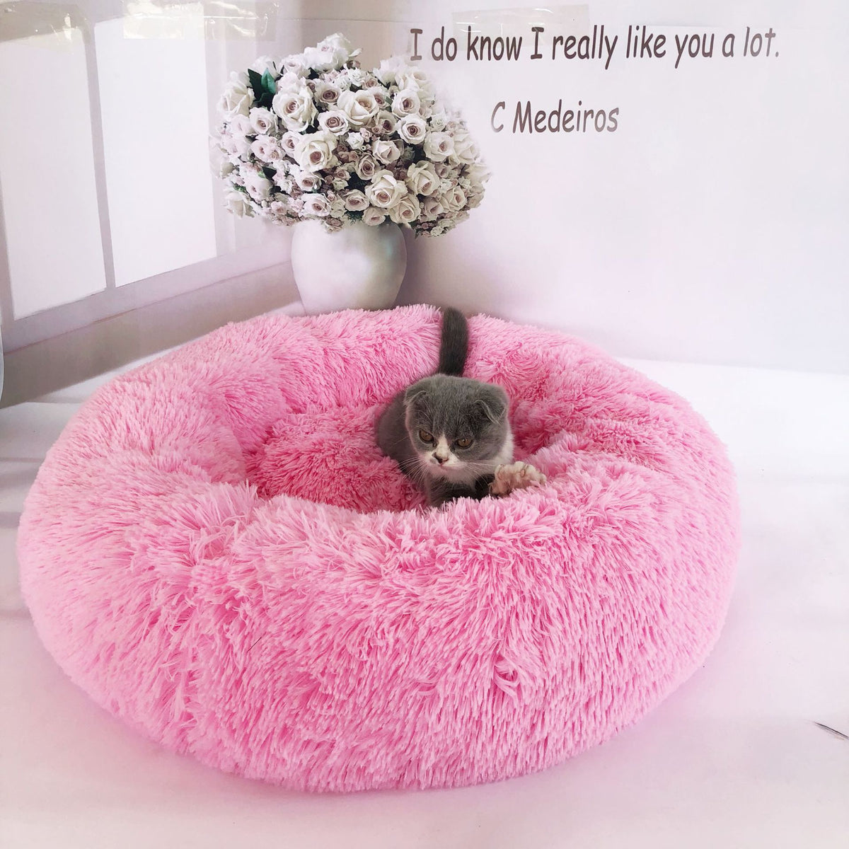 Cloud-Nap Plush Dog Bed — view 12