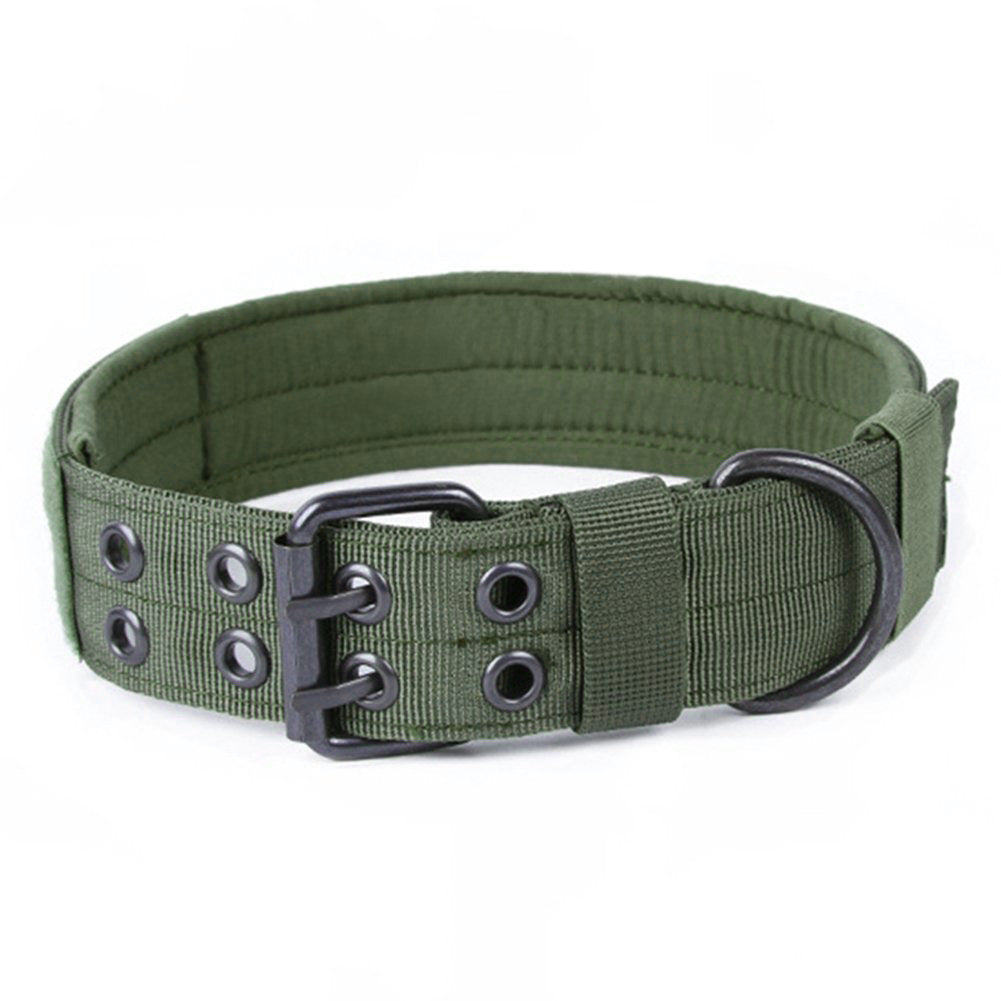Everyday Nylon Adventure Collar — view 5