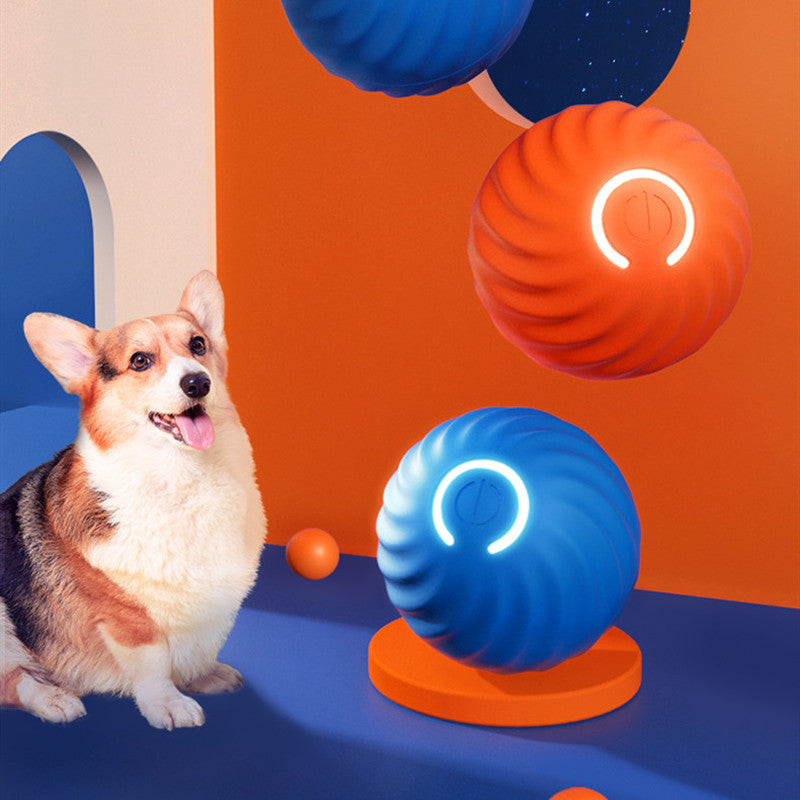 Ready, Set, Fetch Rubber Ball — view 2