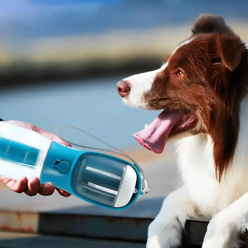 Roam Ready 3-in-1 Dog Travel Kit — view 6