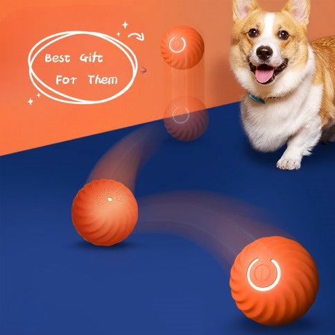 Ready, Set, Fetch Rubber Ball — view 1