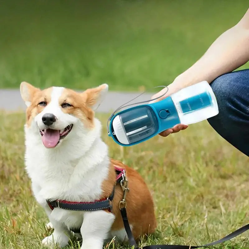 Roam Ready 3-in-1 Dog Travel Kit — view 5